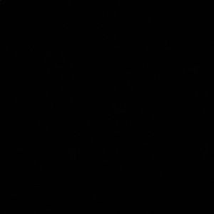 Meet your Posher, Kenneth